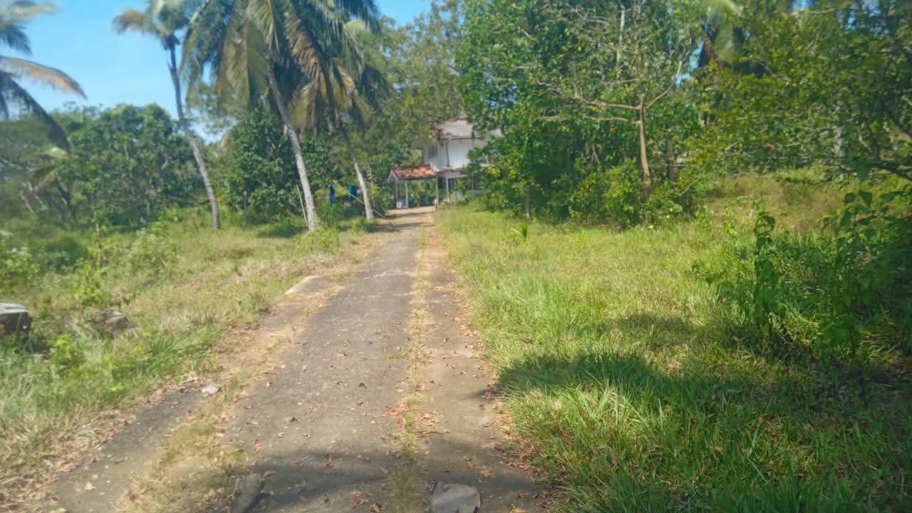 Property Thumbnail 2